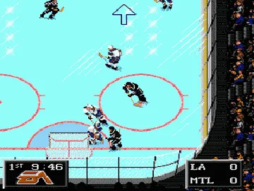 NHL '94 (USA, Europe) screen shot game playing